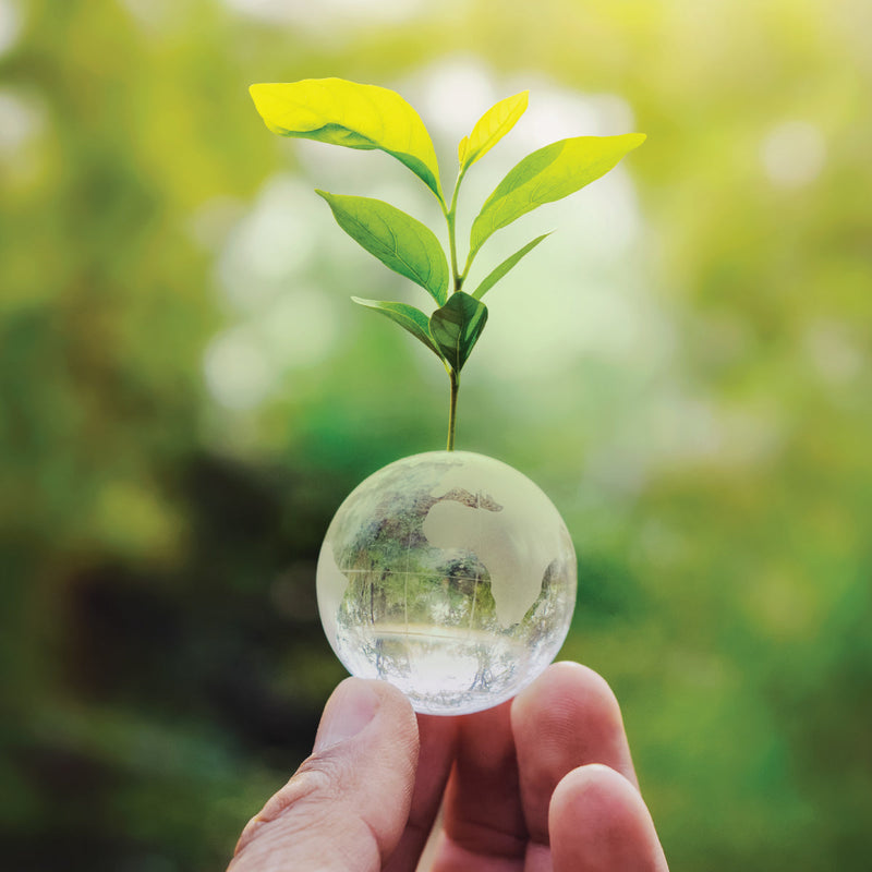Sustainable Sourcing